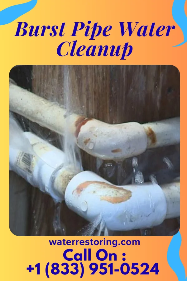 Burst Pipe Water Cleanup in Sardis, TN