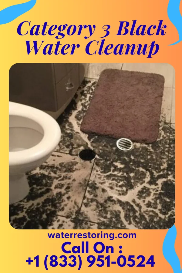 Category 3 Black Water Cleanup in Sardis, TN