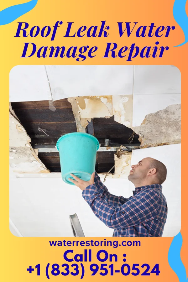 Roof Leak Water Damage Repair in Sardis, TN