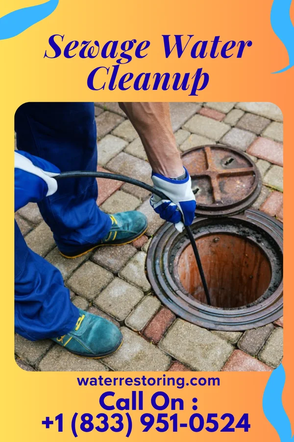 Sewage Water Cleanup in Sardis, TN